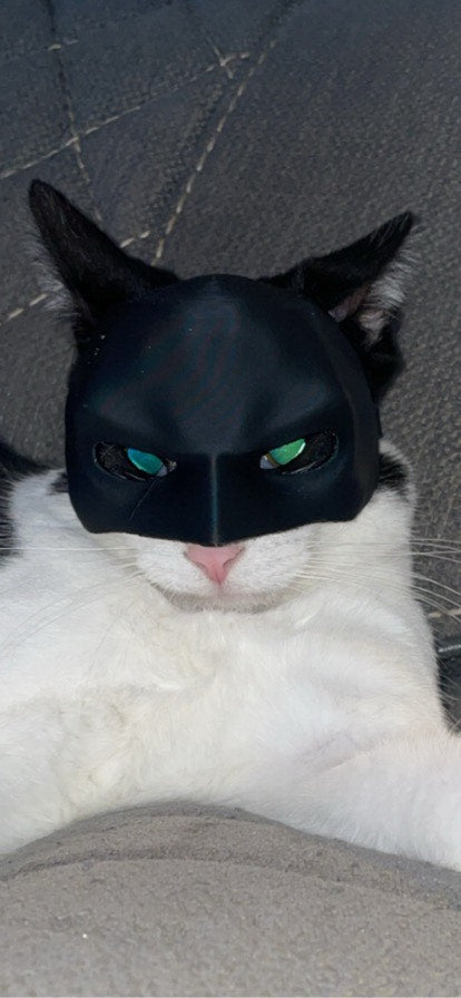 Masque Batman